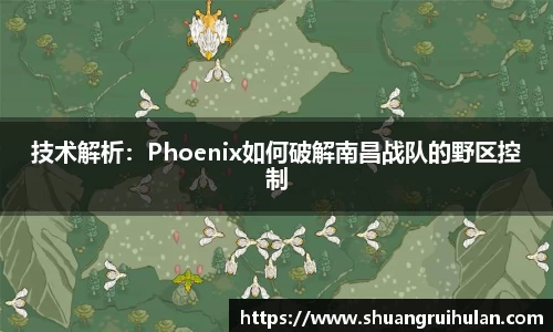 技术解析：Phoenix如何破解南昌战队的野区控制